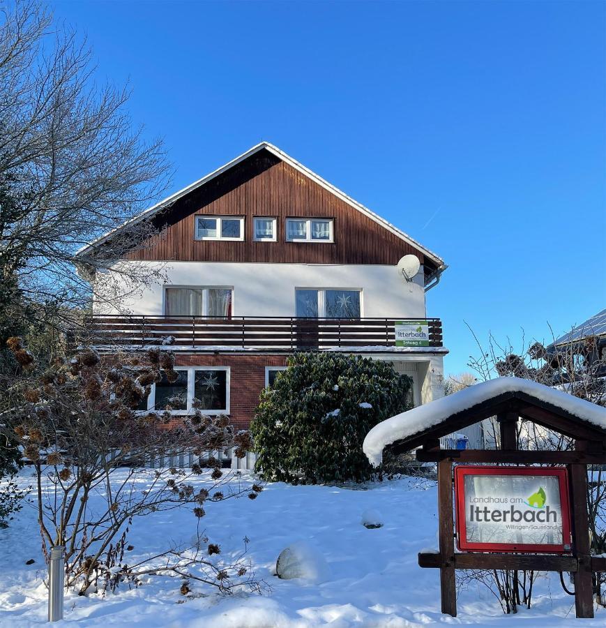 Landhaus Am Itterbach Willingen Willingen  Kültér fotó